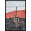 Sunsets And Saguaros by Nathan Larson-79406480-79406565