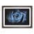Walnut Framed selected