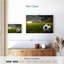 Football Sirci au coucher du soleil-107886770