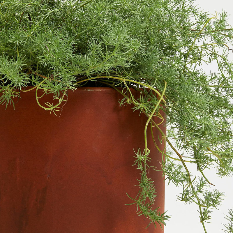 Grand bac à fleurs cylindrique en ciment robuste de 19,5 po et 23,5 po de hauteur avec trou de drainage de couleur rouille