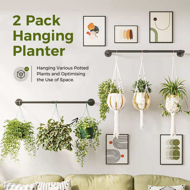 Ensemble de 2 tringles à suspendre 36 po noires, support pour plante de plafond / mur (pots et plantes non inclus)