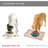Anti-Skid Placemat-98665483