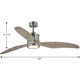 Wayne 60'' 3 Blade Ceiling Fan with LED Light Kit