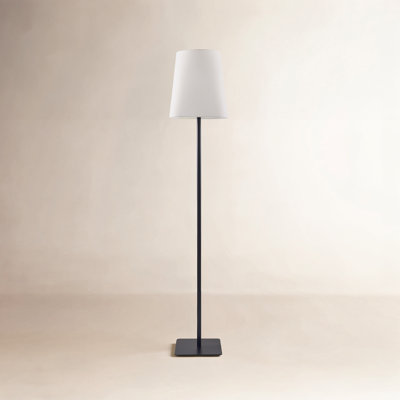 66.3'' Iron Floor Lamp