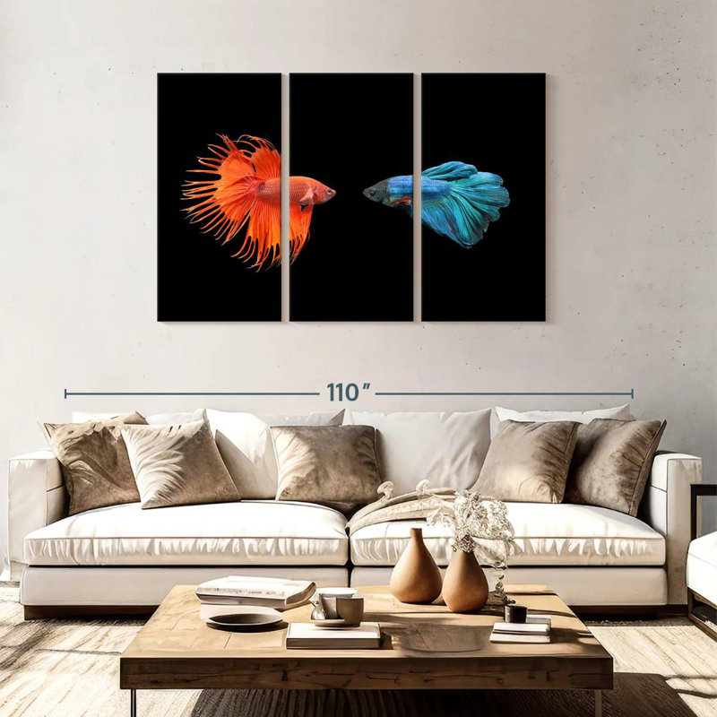 Brampt Betta Fish Meet, 48" H x 74" W