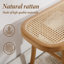 Allexandria Modern Rattan Bench with Wooden Legs Benches-567460757