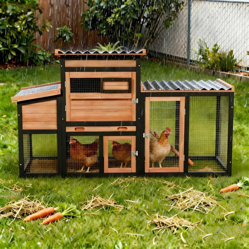 Poulailler en bois résistant aux intempéries avec toit ouvrant et fenêtre coulissante pour 4 poules adultes