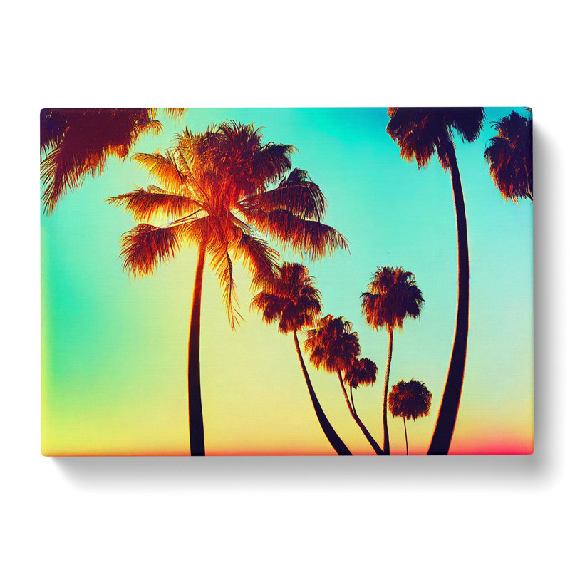 Ultimate Palm Trees - Wrapped Canvas, 40cm H x 60cm W x 3cm D