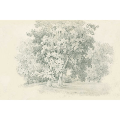 Bordure du croquis des bois