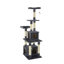 Cat Trees, Perches & Scratchers