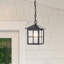 Luminaire suspendu d'extérieur noir à 1 ampoule H 10,5 po Semiyah
