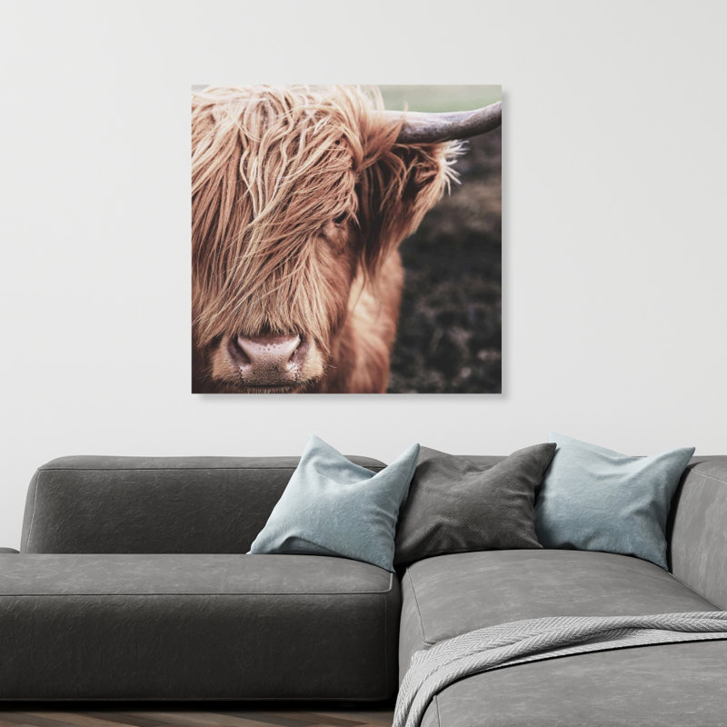 Décor de vache Highland Desatured