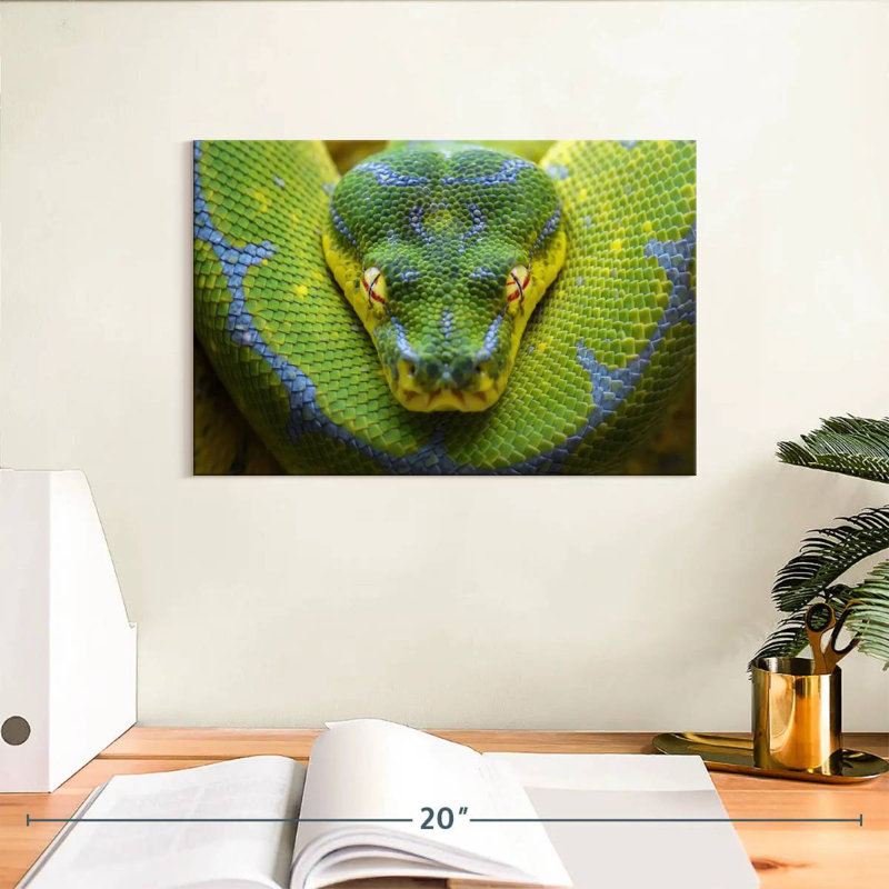 Brampt Fierce Green Tree Python, 8" H x 12" W