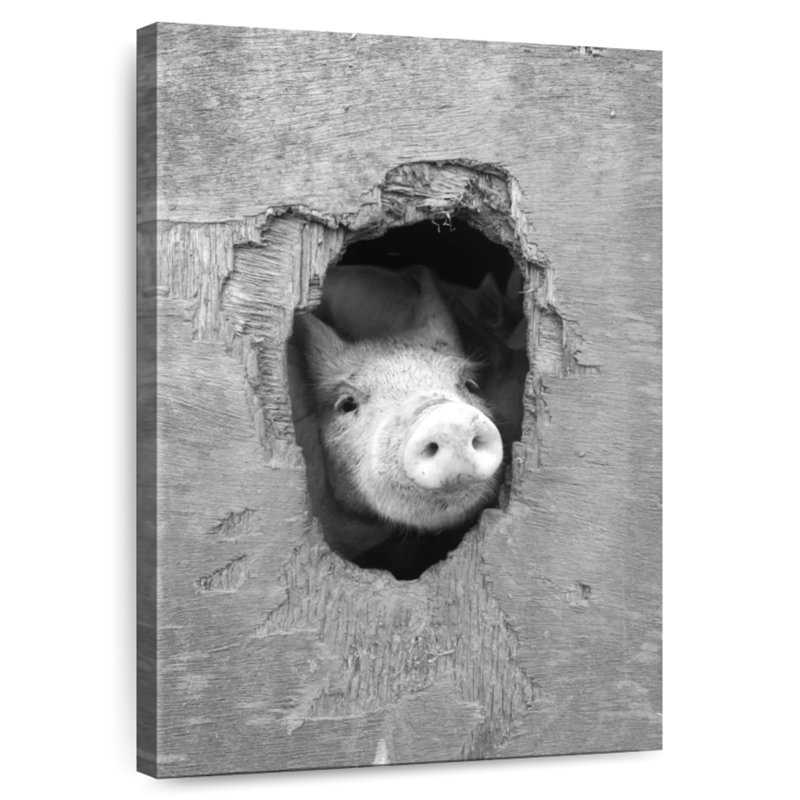 Brampt Peeking Pig, 36" H x 24" W