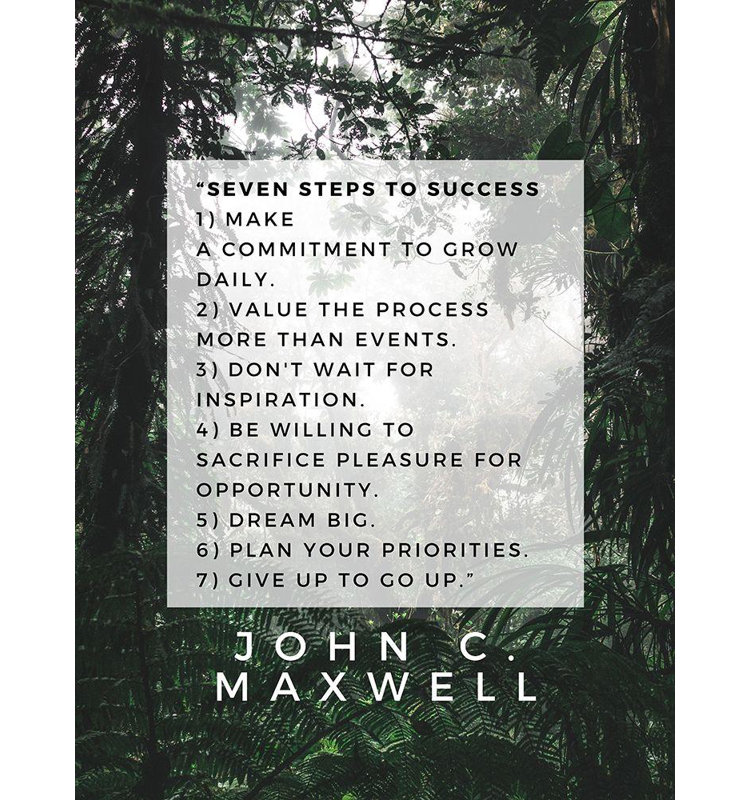 Art sur toile tendue par Trinx ArtsyQuotes: John C. Maxwell, citation: Sept étapes vers le succès, H 47 po x l 36 po