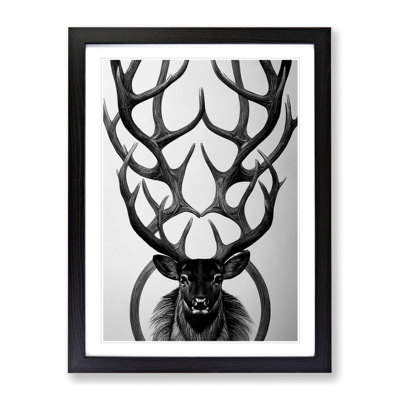 XV1022-2870X Monochrome Stag No.4 - Print, 66cm H x 48cm W, Black Framed Paper