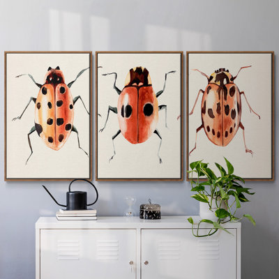 Ladybug Display II - Multi Piece Framed Canvas