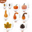 Landscape & Nature Vase Filler