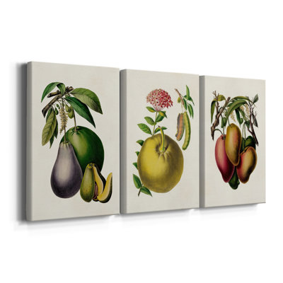 Fruit of the Tropics IV  -Custom Wrapped Gallery Canvas - 3 Pieces