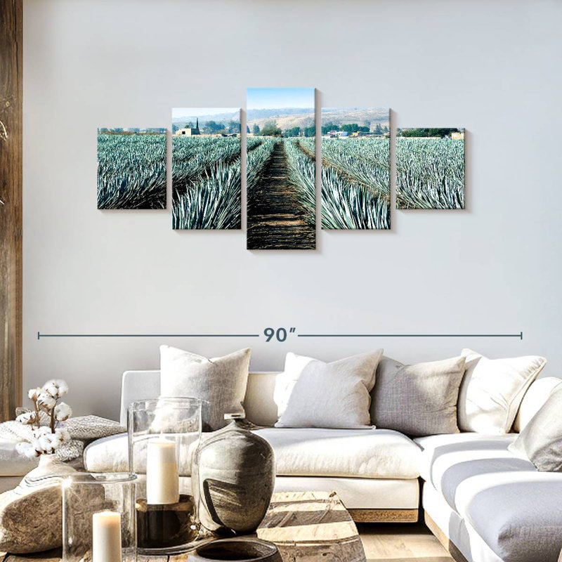 Agave Alvord Farm, H 30 po x l 68 po
