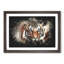Tiger - Framed Print-56863952-56863953
