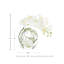 Orchid and Vine Arrangement in Glass Vase-44807563