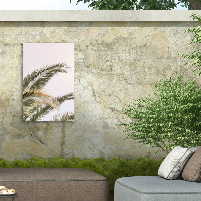 Palmier oasis bolologien 03, H 47 po x l 30 po