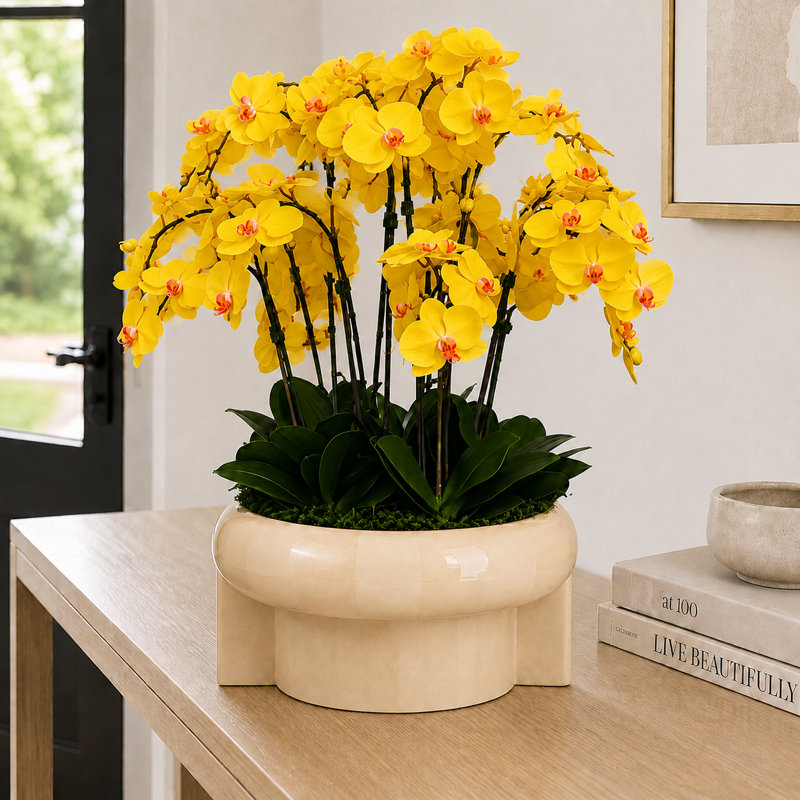 Arrangement d'orchidées artificielles Replay, Yellow