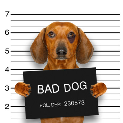 " Dachshund Police Mugshot " by Damedeeso