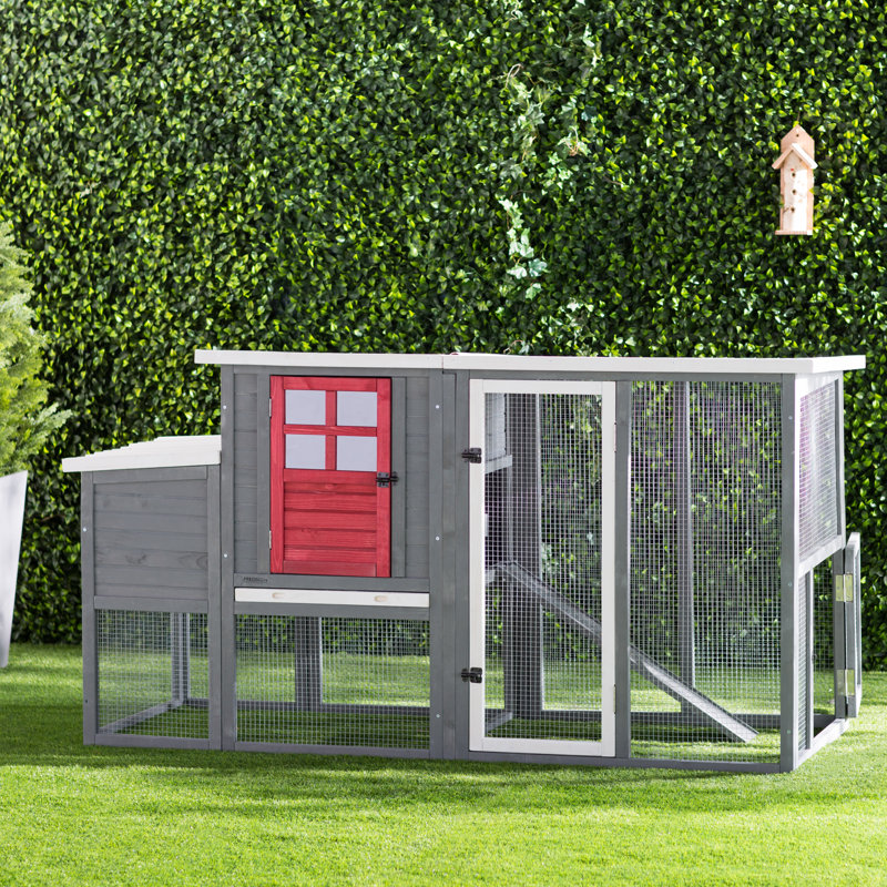 Duchess 22.2 Square Feet Chicken Coop with Nesting Box For Up To 5 Chickens