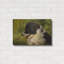 «Border Collie Garden» par John Silver-422630236