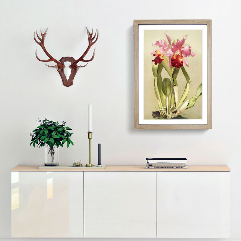 Magnolia Flowers Illustration Tab. 55 by Frederick Sander - Picture Frame Painting Print, 50cm H x 35cm W x 2cm D, Oak