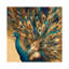 Proud Peacock by Julianne Marcoux - Wrapped Canvas Painting-1079957861