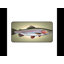 Polyester Desk Pad-1421324860