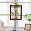 Fernwood Hanging Planter
