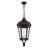 Anguel 3 - Light Outdoor Hanging Lantern-1755138250