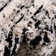 Tucson Abstract Indoor Rug