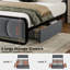 Lit plateforme capitonné en velours Dorrough-1298385650-1308040330