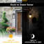 Nadolyn Plug-in Outdoor Wall Lantern with Dusk to Dawn