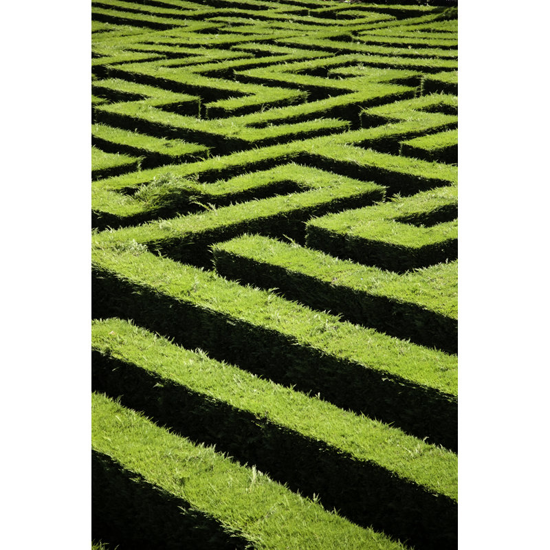 Haie labyrinthe de jardin sur toile, H 18 po x l 12 po