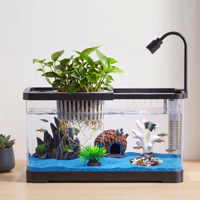 3 to 5.5 Gal Mini Fish Tank Starter Kit Filter & LED Light, Acrylic Betta & Shrimp Aquarium, Large