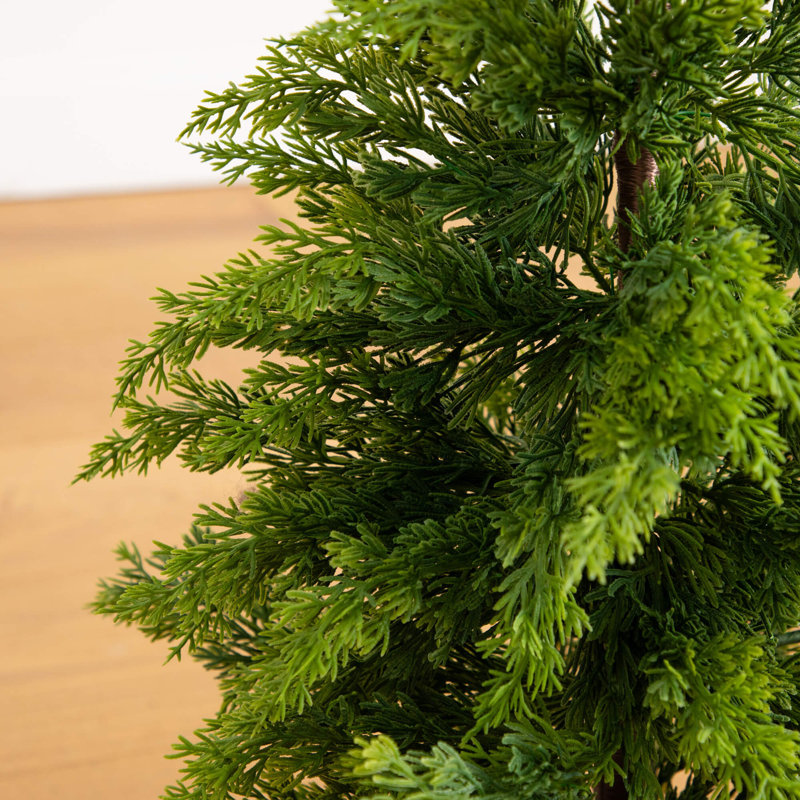Arbre de Noël 3 pi Cypress