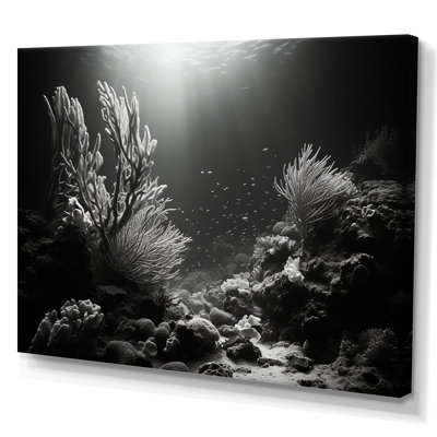 «Under Water» en noir et blanc «Mystic Solitude», reproduction sur toile