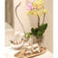 Swan Decorative Plaque-234718423