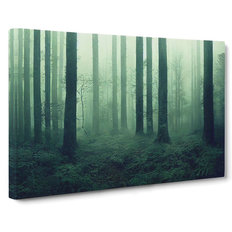 Dazzling Forest - Wrapped Canvas Print, 35cm H x 50cm W x 3cm D
