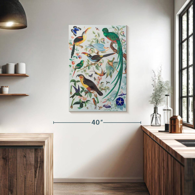 Brampt Exotic Parrots 1850, 39" H x 26" W