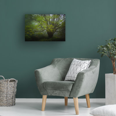 Wei Dai Forrest Morning Canvas Art