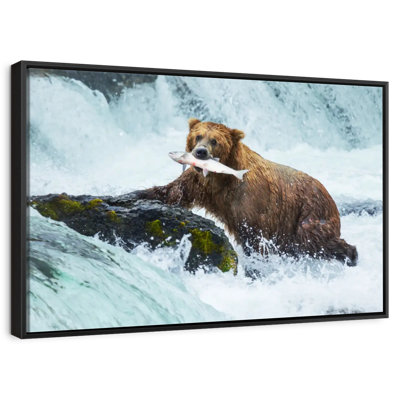 Pêche à l'ours simple