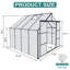 Serre de jardin robuste pour plantes - extérieur noir 8 x 8 pi avec base galvanisée
