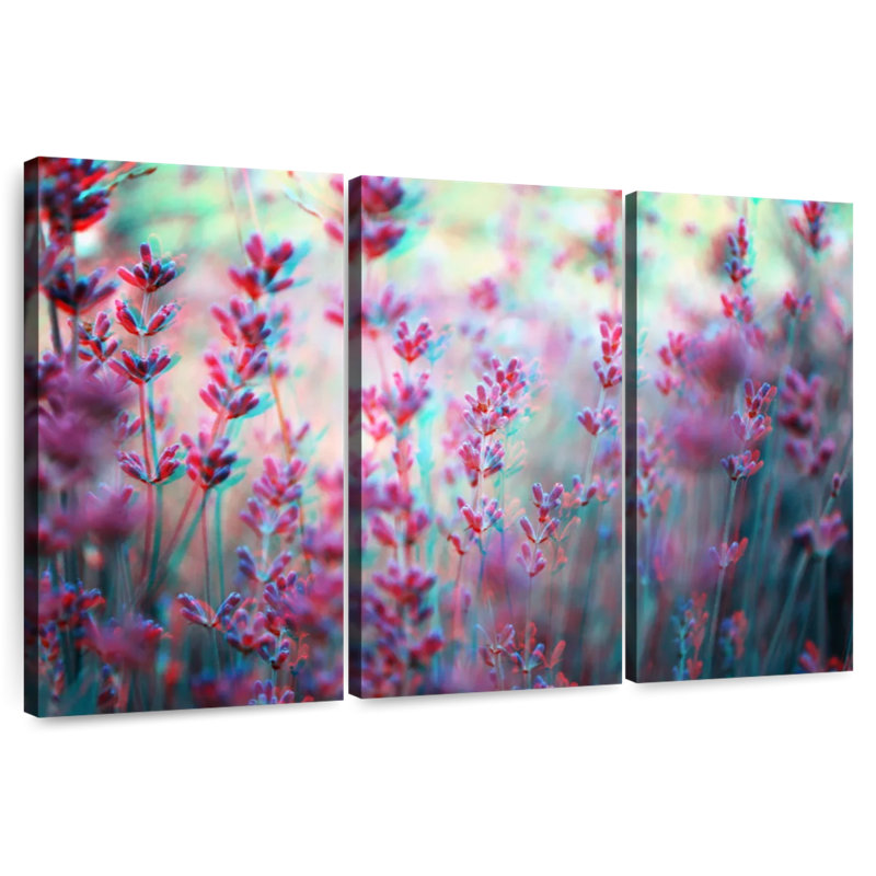 Fleurs de lavande Harnek anaglyph, H 24 po x l 38 po